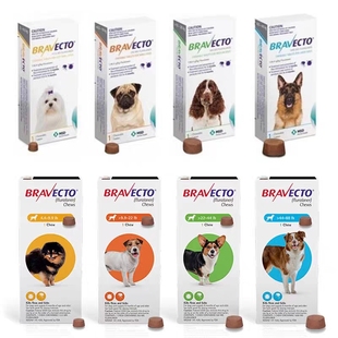 Bravecto for Chews Flea Dogs and For Single Dos 12Week Tick