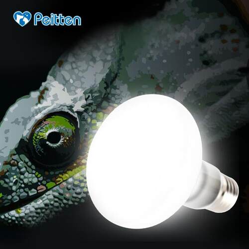 New arrival Amphibian Bird Snake Lamb Red Light Nigh