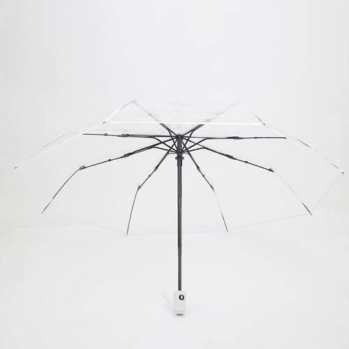 Umbrella Automatic Long Handle Transparent Printed伞全自动
