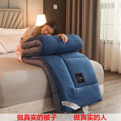 winter soft warm quilt comforter duvet cotton blanket 冬棉被