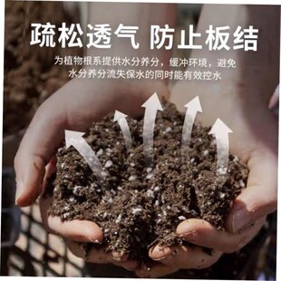 Potting organic succulent vegetable soil