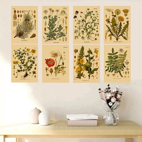 Plant Flower Study Retro Poster Botanical Prints Posters Kra