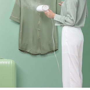 Handheld Steamer Portable Steam Electric iron 220V 1000W