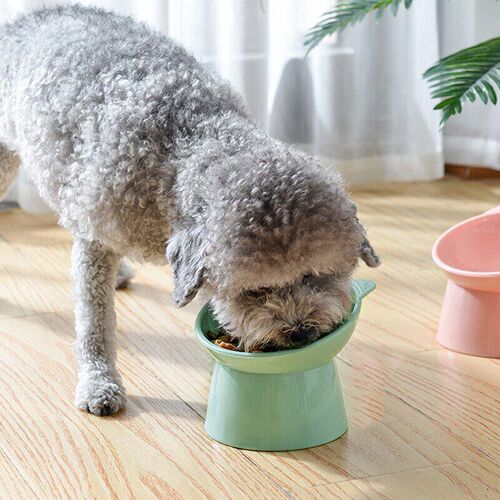 Pet Bowl High Bottom Tilt Antioverturning Neck Protector Cat