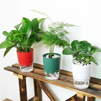 Self Watering Flower Plants Pot Put In Floor Irrigation For