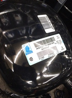 V55EXG 5528 G552 V5532E V55EXG原装泰康活塞压缩机