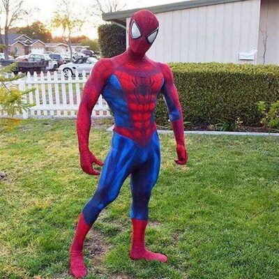 The Amazing Spiderman Superhero Costume 3D Printing Costumes