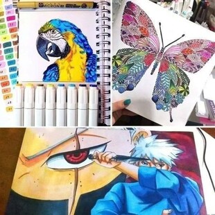 18 - 120 Colors Alcohol Felt Markers Pens Dual Tip Permanent