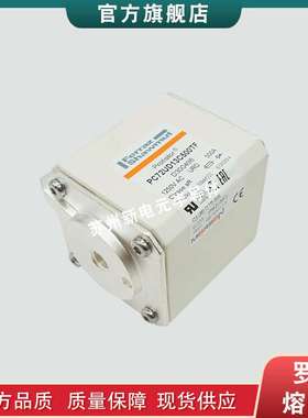 快速熔断器/陶瓷保险丝D71GB60V315EF D234143现货直发