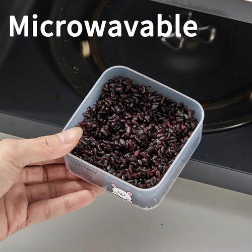 Mini Portable Plastic Food Container With Lid Reusable Fruit