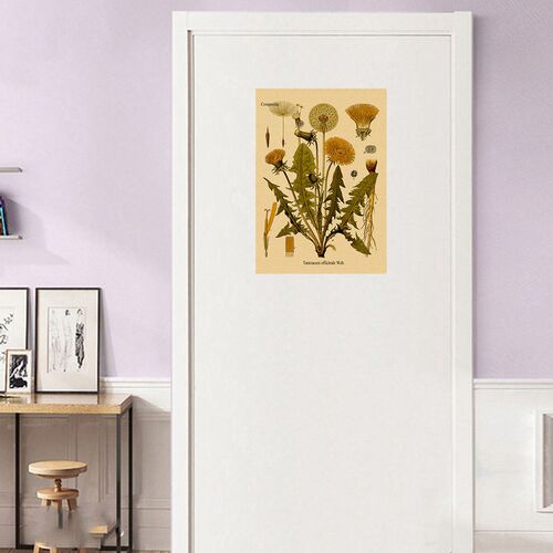 Plant Flower Study Retro Poster Botanical Prints Posters Kra