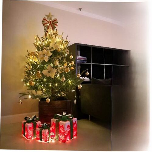 Real Christmas tree 1.5/2/potted Norwegian spruce pine