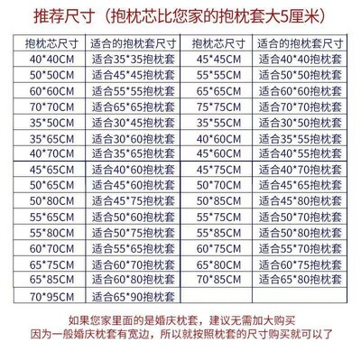 Throw Pillows Sofa Couch Cushion Decorative Pillow insert枕