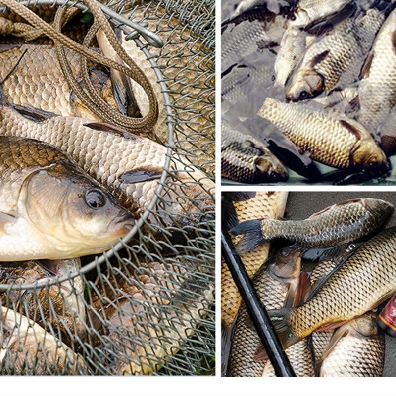 山西神聚臭膏钓鱼小药榴莲味鱼饵添加剂黑坑肥水臭底老滑鱼诱食剂,户外/登山/野营/旅行用品,台钓饵,淘宝优惠券,粉丝福利购,淘宝优惠卷