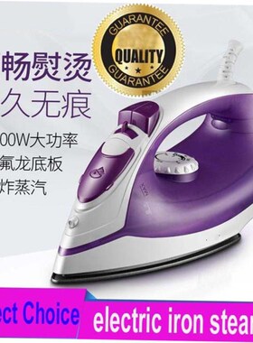 electric compact iron steam soleplate clothes steamer 熨斗