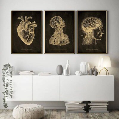 Anatomical Skeleton Chalkboard Poster Kraft Paper Posters DI