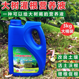 树木移栽灌根营养液大树移植定根水果树抗病生根活力素苗木壮苗剂