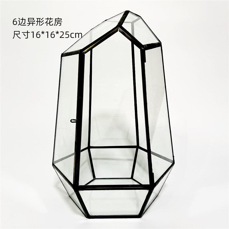 黑色铜条微景观玻璃花房小型鱼缸带门苔藓容器多边形多肉玻璃瓶