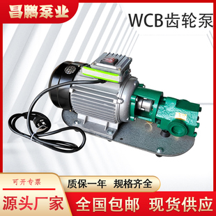可携式 100小型油泵 齿轮泵 汽柴油泵 抽油泵 WCB30 自吸式