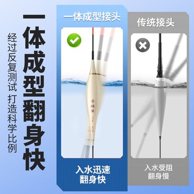 加长翘嘴行程夜光漂日夜两用硬尾鲢鳙漂超长醒目流氓鱼漂大物专用