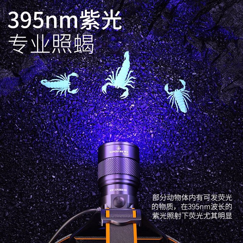 神火HZ01蝎子专用头灯紫光钓鱼鉴定翡翠强光感应充电超亮头戴式灯,户外/登山/野营/旅行用品,头灯,淘宝优惠券,粉丝福利购,淘宝优惠卷