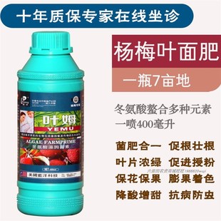 叶姆杨梅树专用肥料叶面肥果树肥料专用复合肥料坐果膨大保花保果