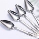 Spoons Feeder Bulk 10Pcs Feeding Pet Newborn Bird