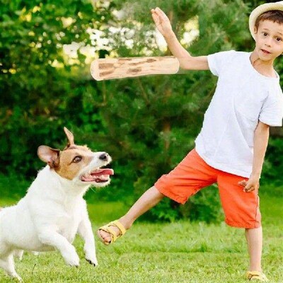 Teeth Clean Wood Stick Safe Dog Teething Toy Stick Natural