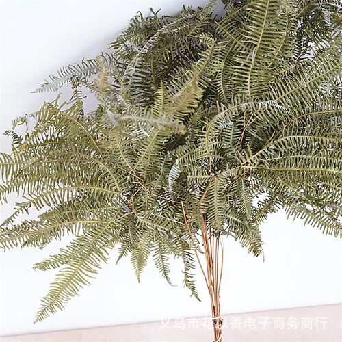 【dried Flowers Of Mantae Leaves 】home Soft Decoration Natu