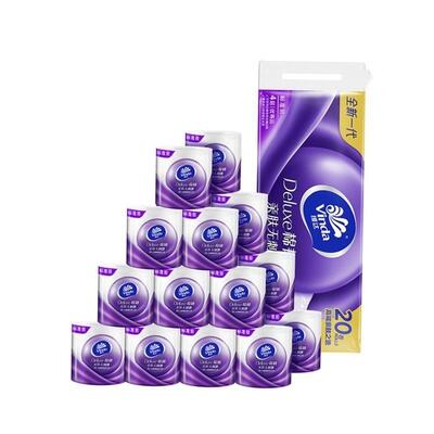 Paper Towels Toilet Tissue Paper Portable 10 Rolls Family