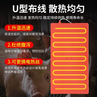仔猪用电热板兽用塑钢加热板产床保温箱小猪保温板养殖用取暖设备