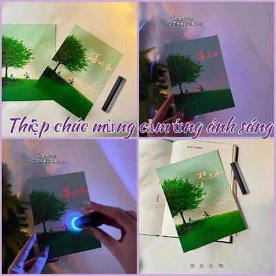 Funny Light Sensitivity Love Letter Graduation Confession