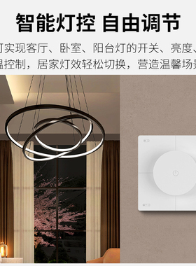 PTX无线旋钮开关家用8面板灯控无线调光本地化控制灯光窗帘电机