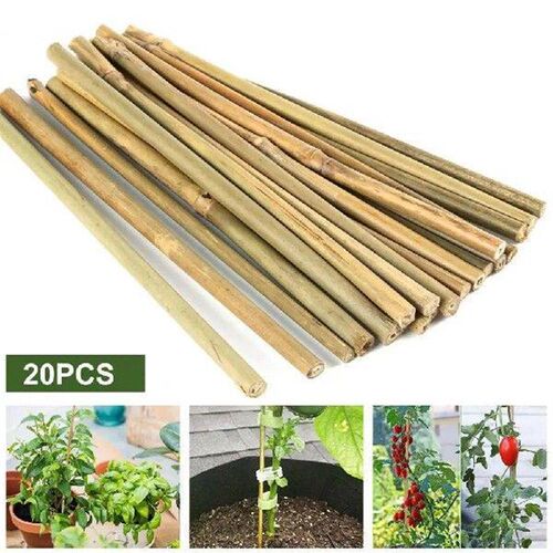 20Pcs Plant Support Frames Anti-break Plant Support Poles