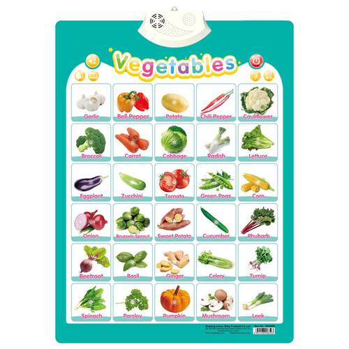 English Talking Poster Alphabet Numbers Fruits Animals