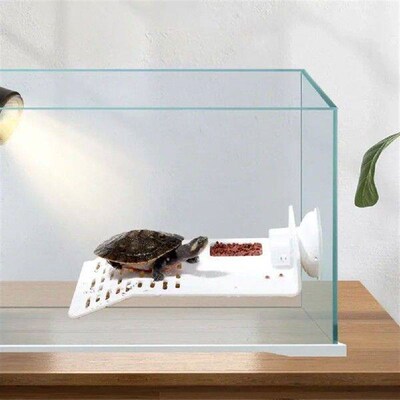 Large Transparent Turtle Basking Platform Fish Tank