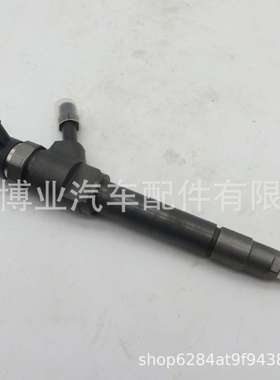 高品质喷油器0445110250/WLAA13H50适用WLC/WL3发动机