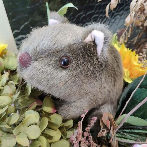 Animal 18-28cm Simulation Wombat Plush Toys Stuffed Wild  Gu