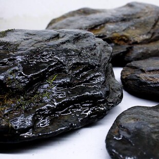 溪流石大块原生态天然溪流缸主石一石成景鱼缸专用造景石一物一拍