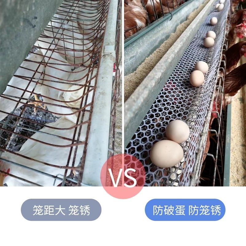 鸡蛋防笼锈印塑胶网 鸡笼蛋托垫网 蛋鸡防锈斑垫网 接鸡蛋塑料网,畜牧/养殖物资,养鸡网,淘宝优惠券,粉丝福利购,淘宝优惠卷