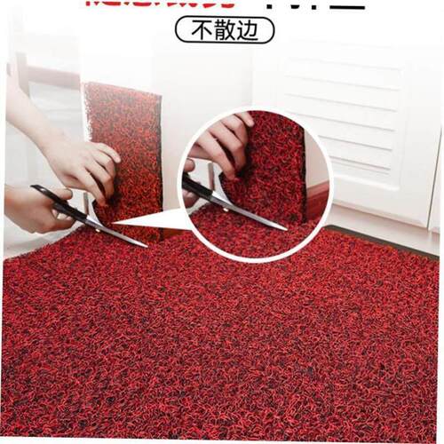 Floor Mat Entrance Doormat Floor Rug Anti-slip Door Mat