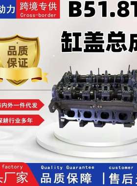 B5 1.8T ANQ BKB缸盖总成06B103351P