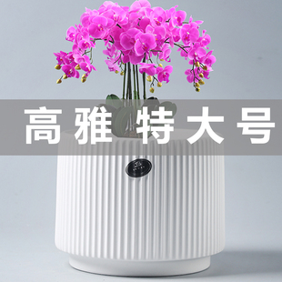花盆陶瓷鲜花绿萝特大号花盆带托盘多肉花盆家用蝴蝶兰专用盆塑料