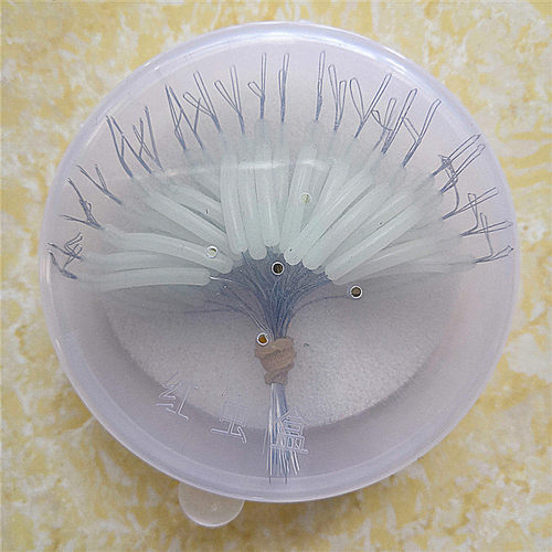 大大分钩器夜光分叉器分线器其他渔具垂钓用品钓鱼装备鱼具小配件