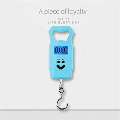 Fishing Scale Digital Accurately Weighing Mini Electronic