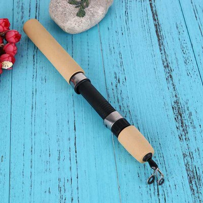 60/80/100cm Mini Telescopic Ice Fishing Rod Portable Carbon