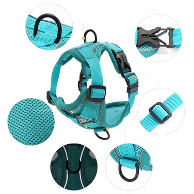 Harness and Leash Set Pet Accessories Dog Harness For Small