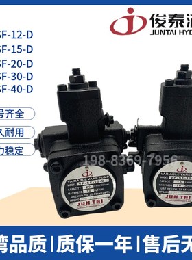 俊泰JUNTI叶片泵VP-SF-08//15/20/30/-D VP-20D JUNLING油泵