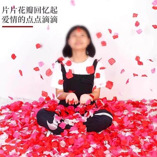 Rose Petal Wedding Confession Decoration Hand-scattered Flow