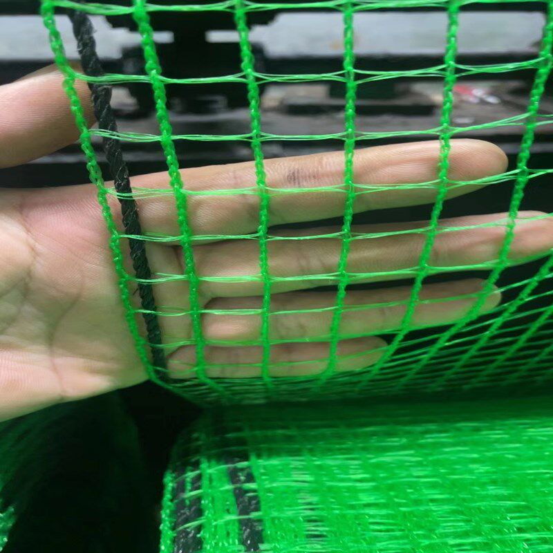绿色带遍绳1.5厘米孔防鸟网大棚通风口专用蔬菜大棚放风口防鸟网,农机/农具/农膜,农用防鸟网,淘宝优惠券,粉丝福利购,淘宝优惠卷